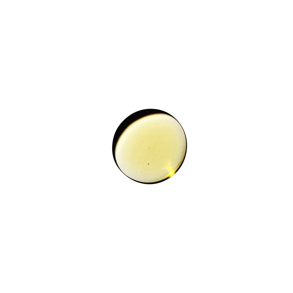 Dame Sex Oil Massage Oil 2 oz.-2