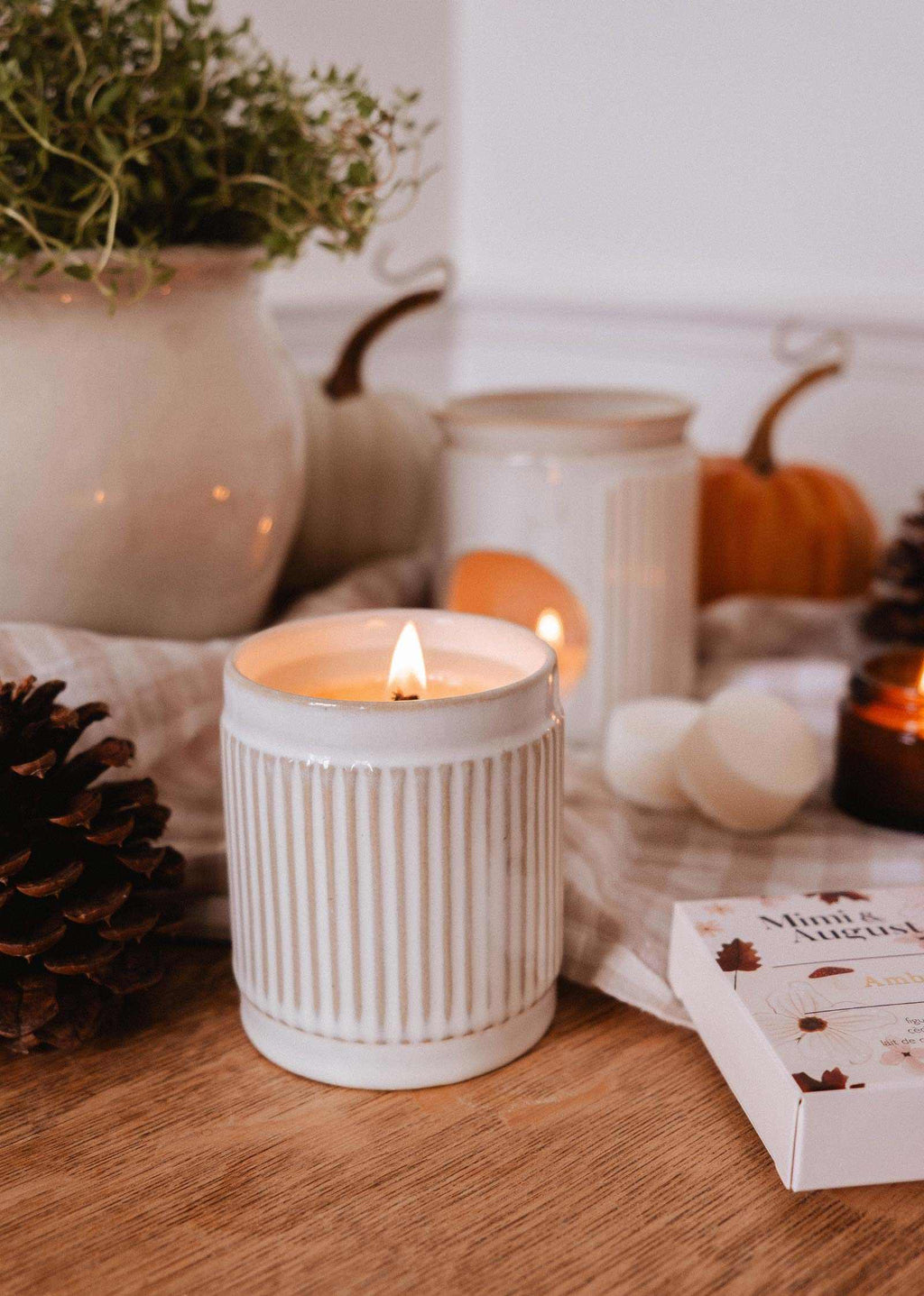 Ambre Reusable Soy Candle – Fig, Cedar & Musk | Mimi & August