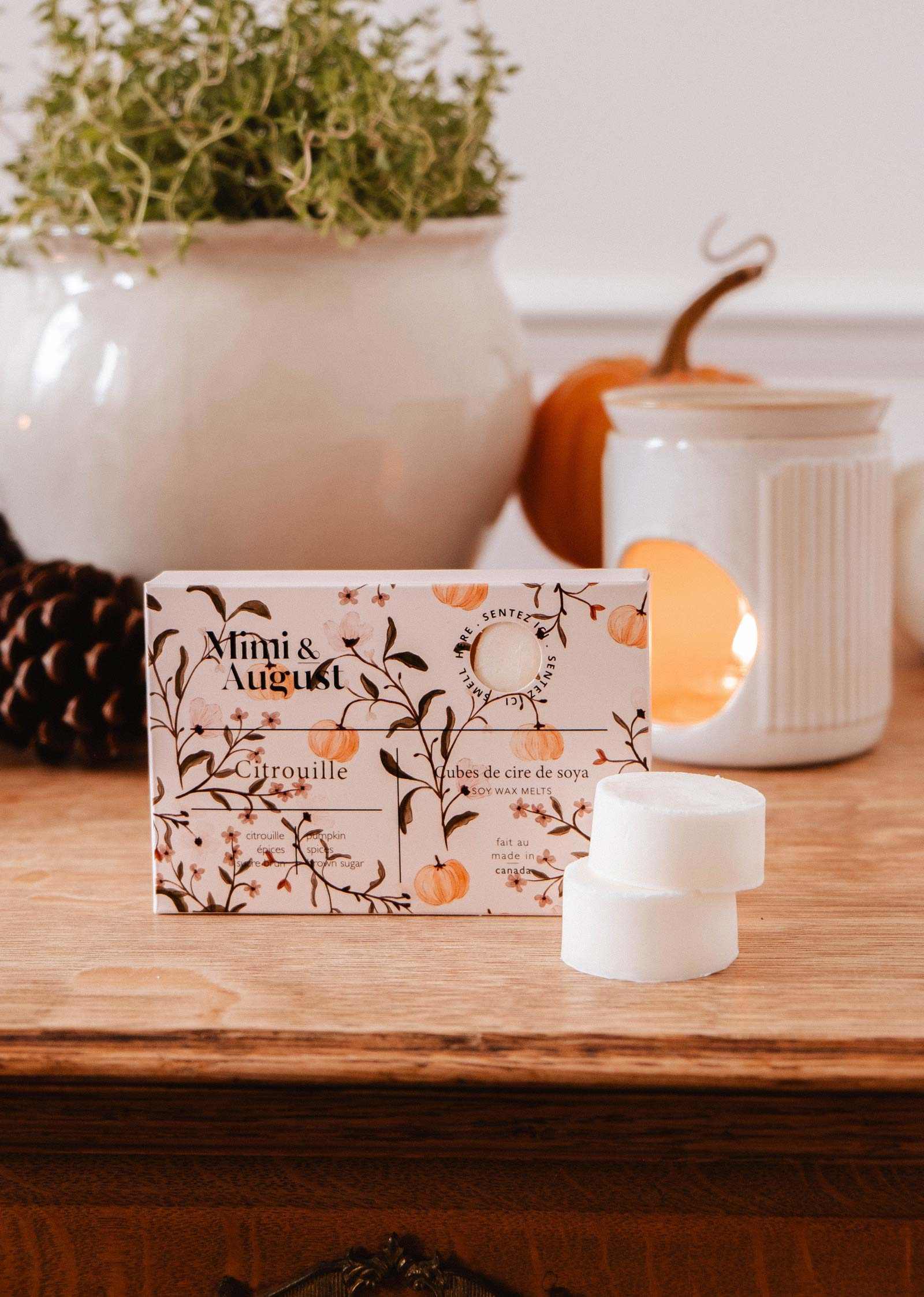 Citrouille Soy Wax Melts – Pumpkin, Warm Spices & Brown Sugar | Mimi & August