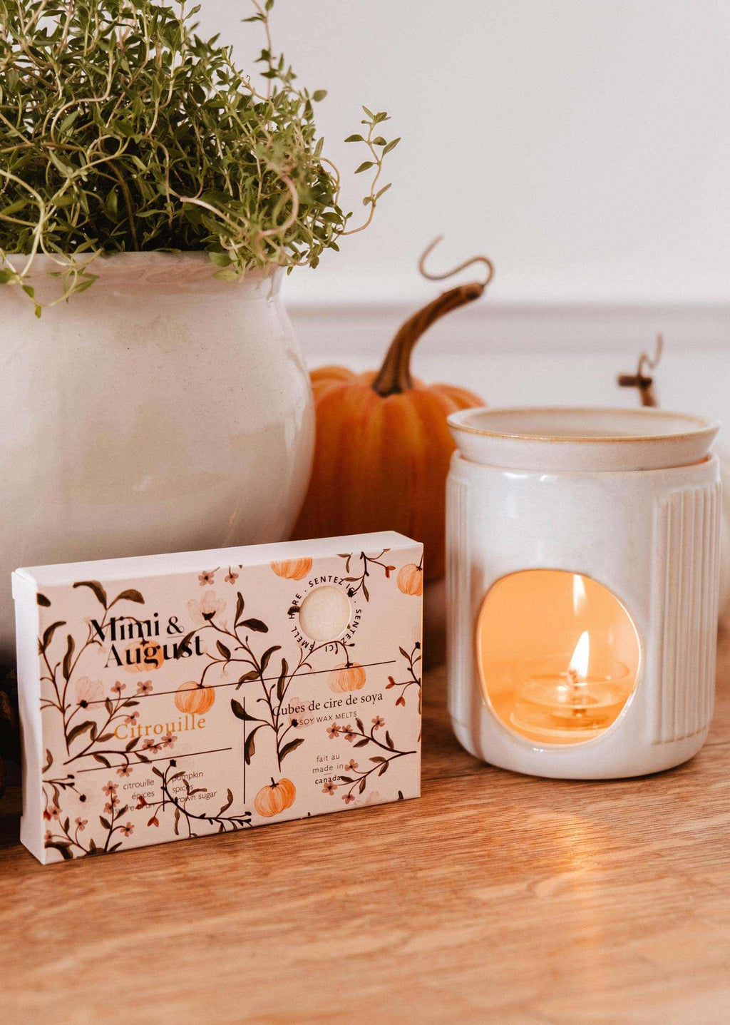 Citrouille Soy Wax Melts – Pumpkin, Warm Spices & Brown Sugar | Mimi & August