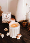 Heirloom Reusable Soy Candle – Chestnut, Clove & Cedar | Mimi & August
